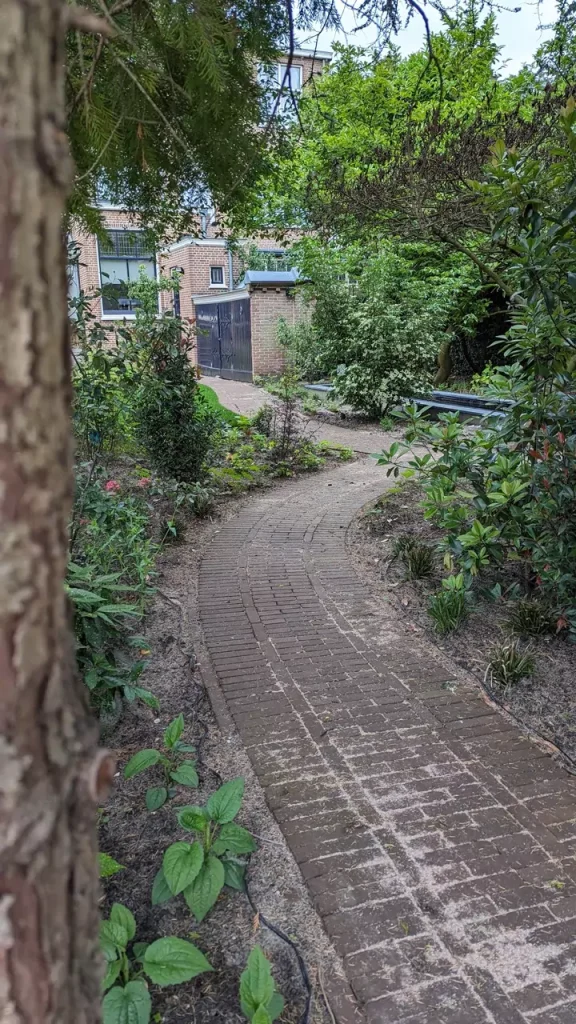 Rechte lijnen van een nieuw betegeld tuinpad